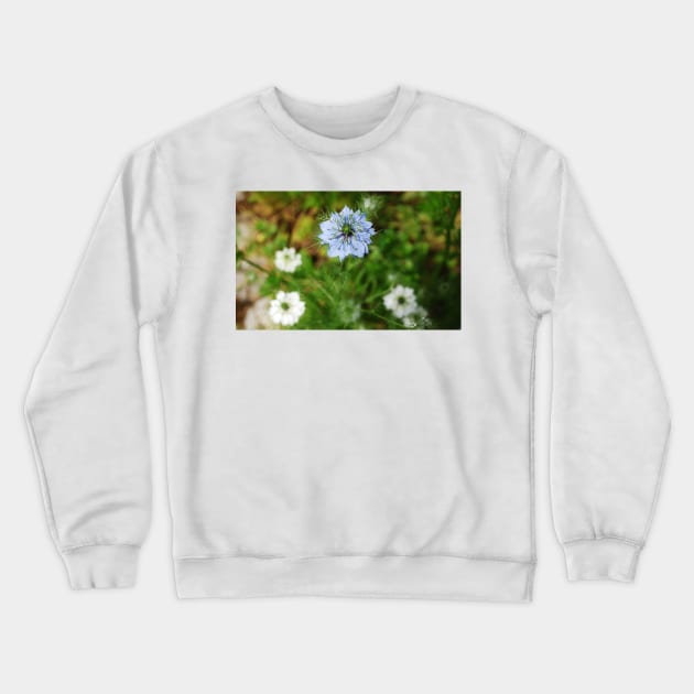 Blue Cornflower Crewneck Sweatshirt by jojobob